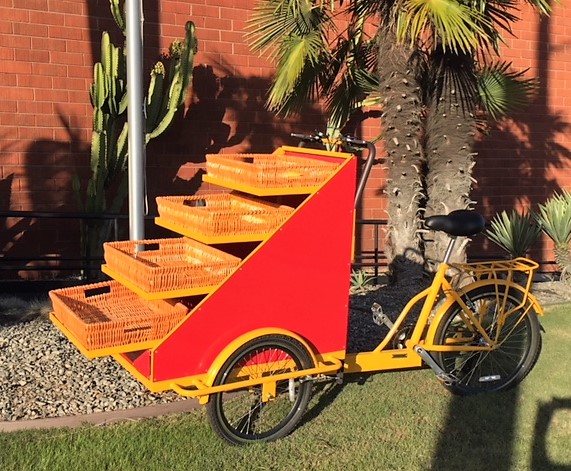 Veronica Brooks-Sigler will ride a bike like this one to peddle her books.